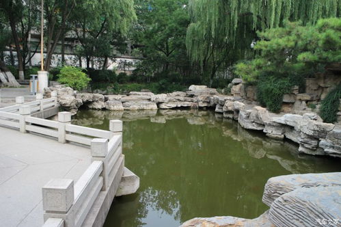 濟寧CS75銀自精遺珠游覽 天下第一泉趵突泉景區的靜謐之美與景區管理的思辨